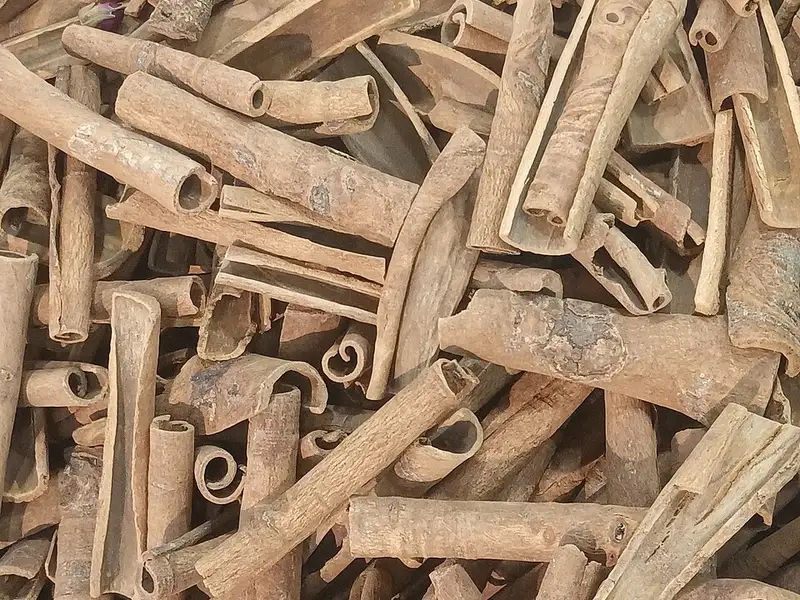 Cinnamon sticks, a natural ingredient studied for blood sugar support and insulin sensitivity